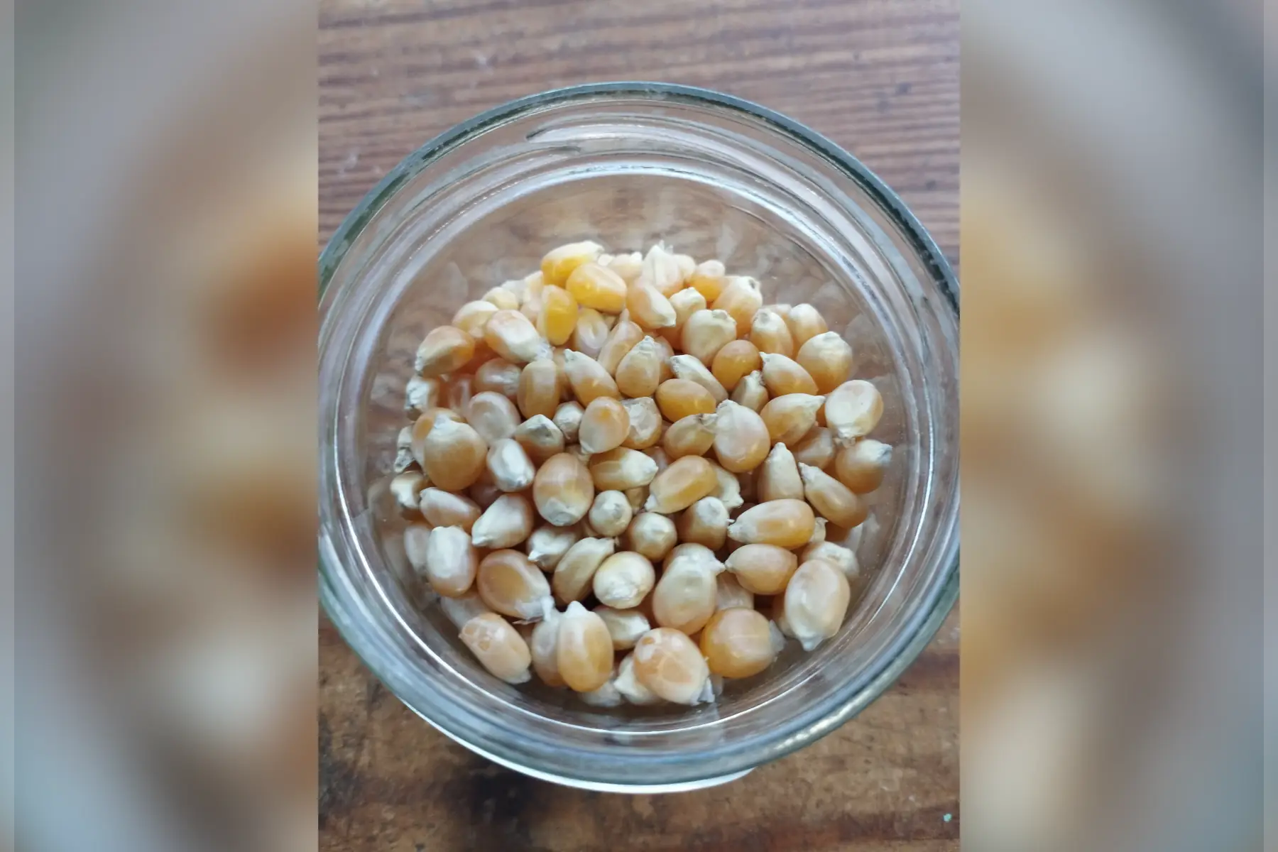 légumes secs : maïs pop corn