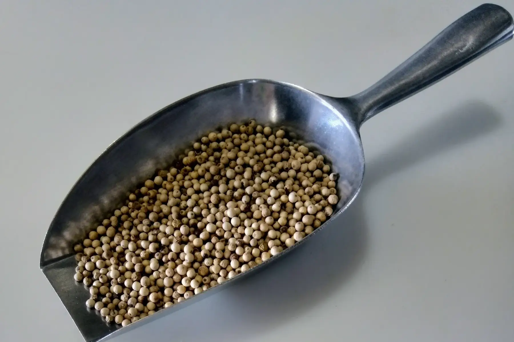 epices et aromates : poivre blanc grain