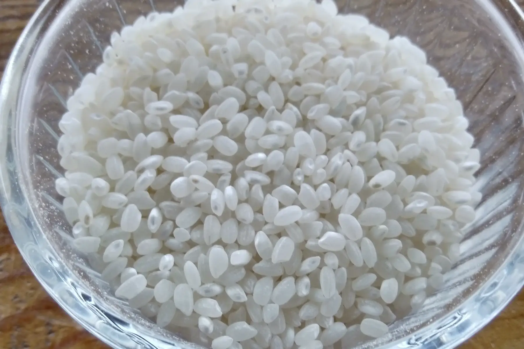 riz rond blanc italien