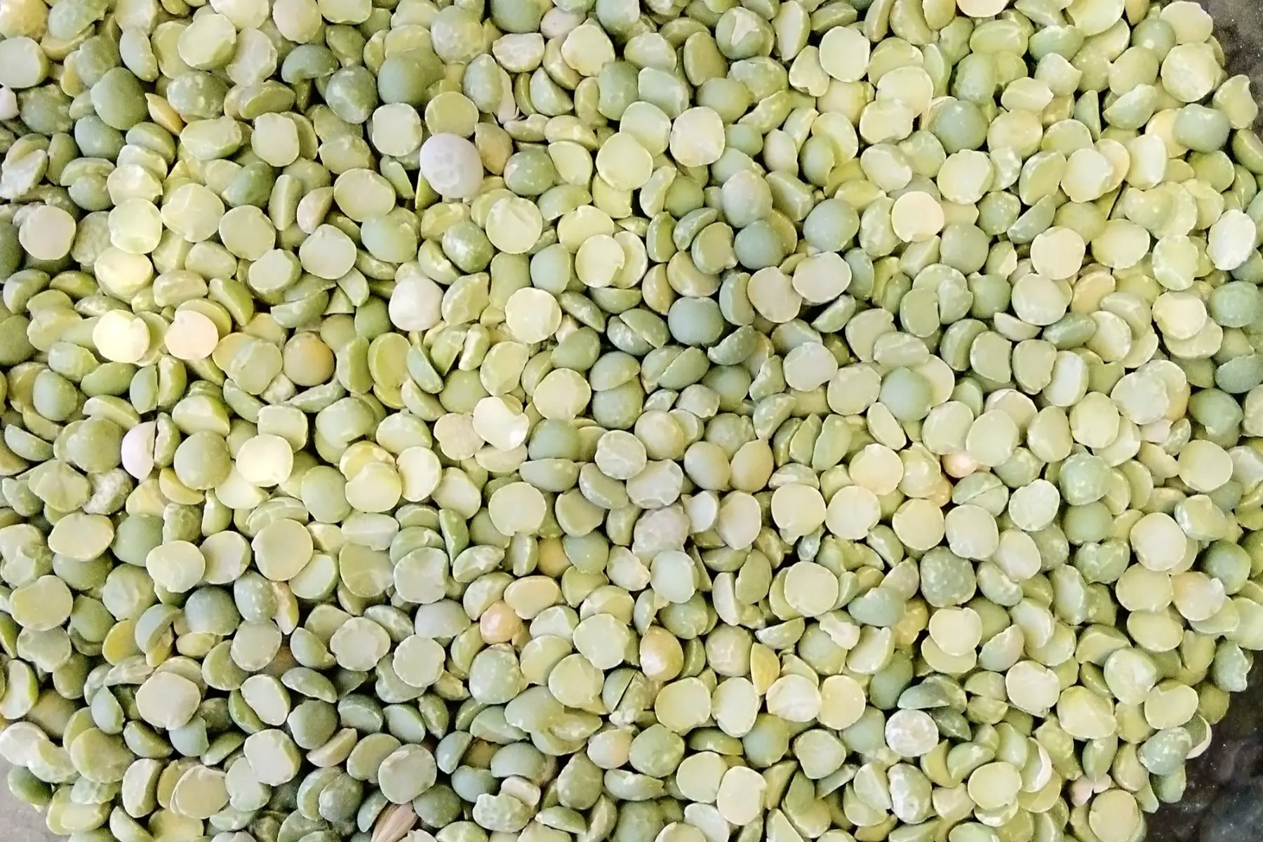 légumes secs : pois cassés