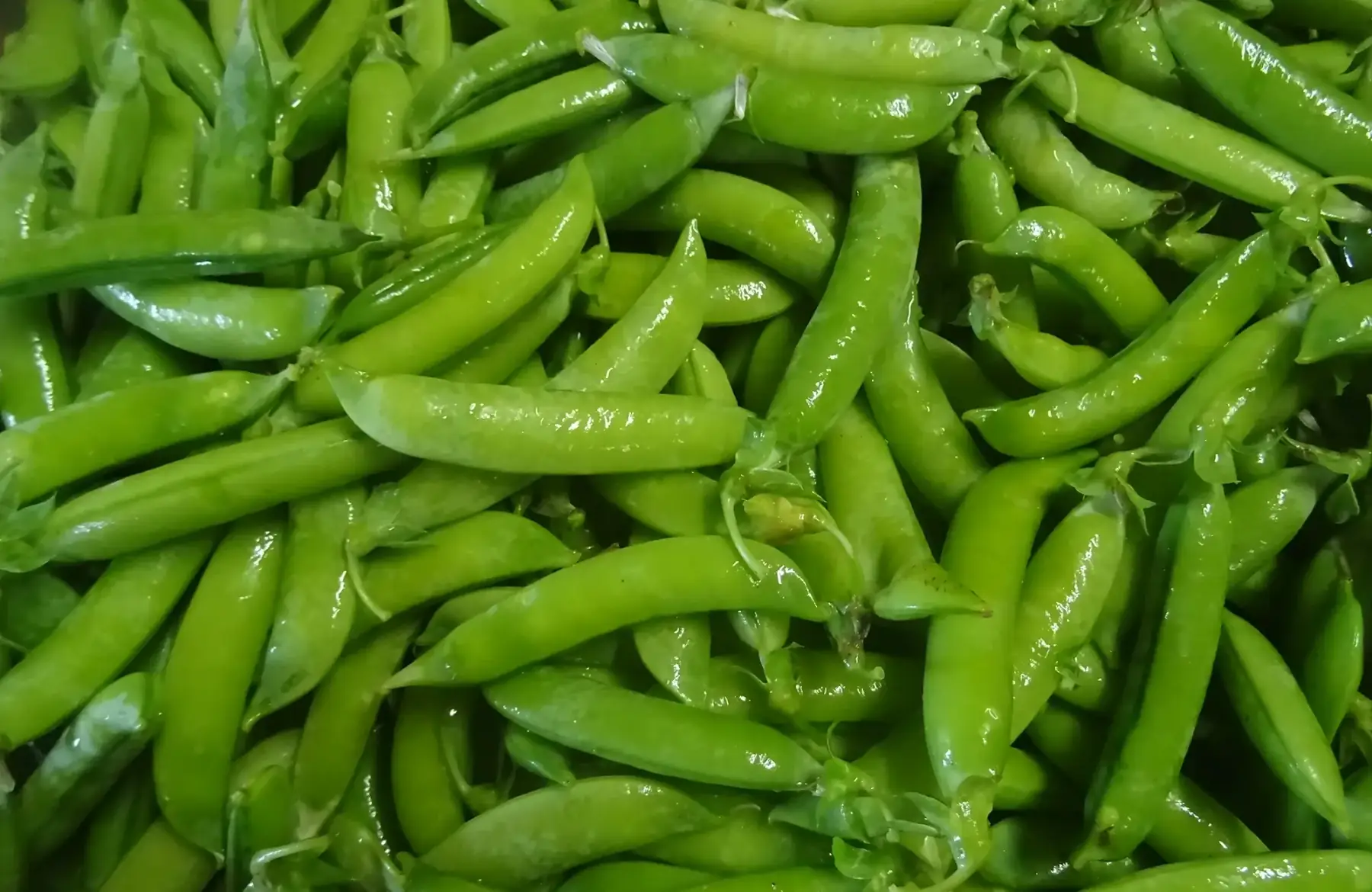 petit pois