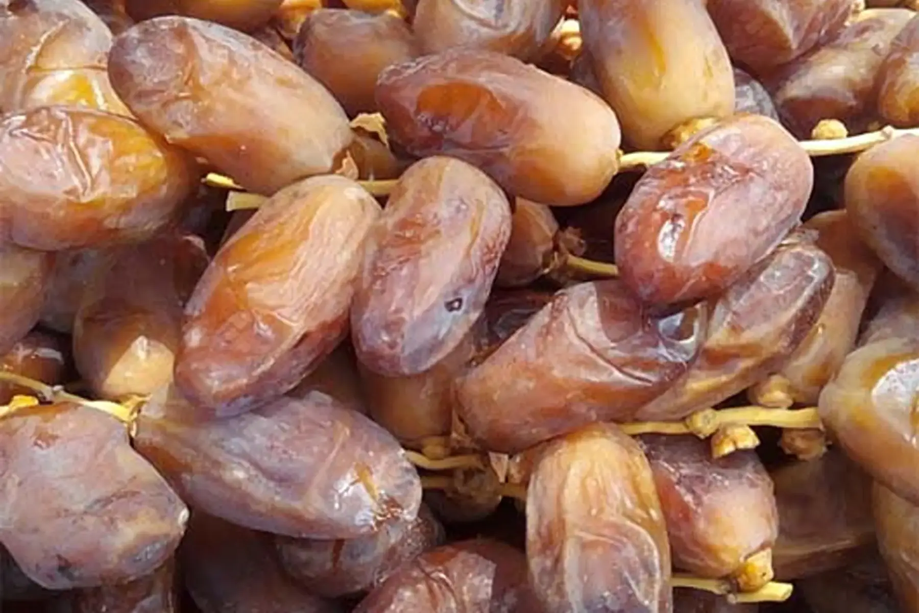 Dattes en vrac de Tunisie