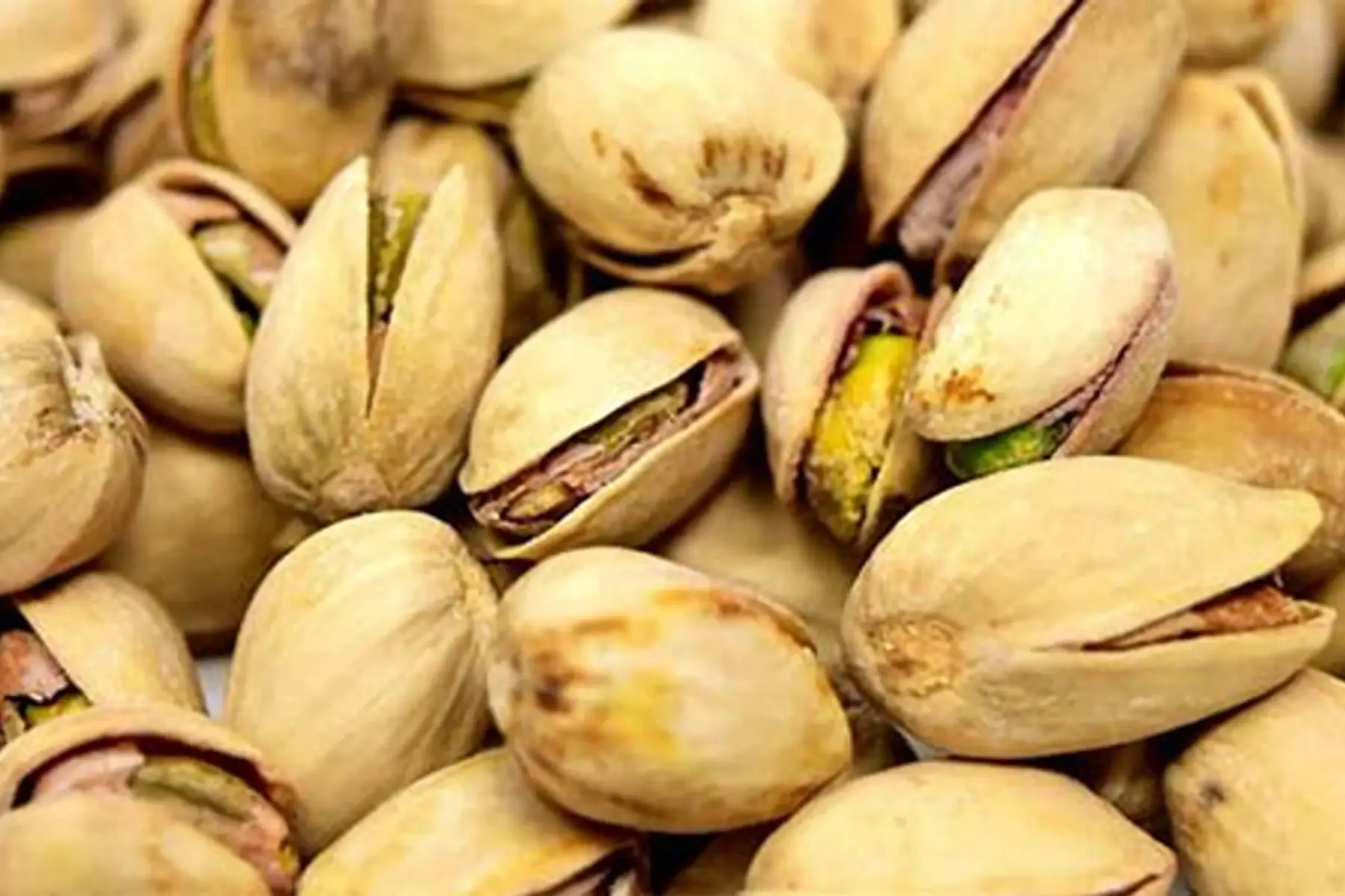 Pistache coque d'Espagne