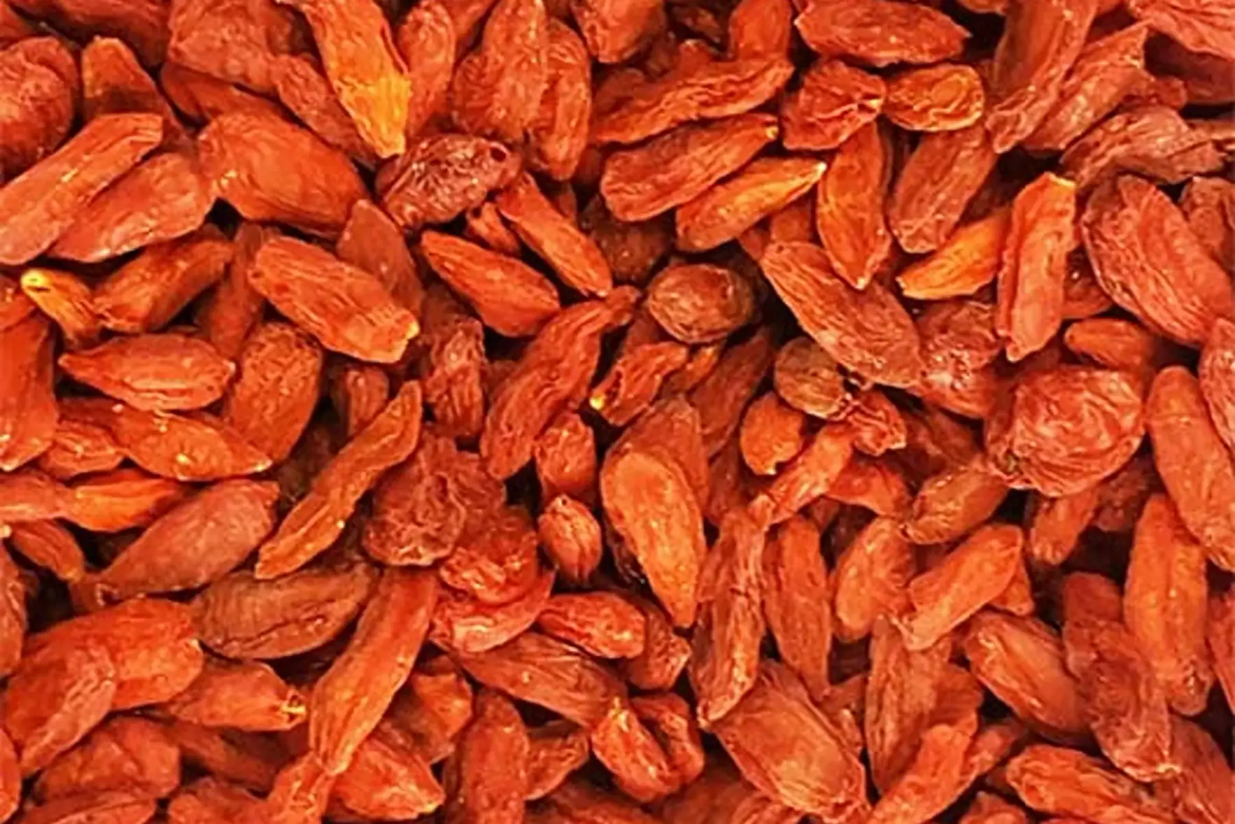 Baies de Goji du Tibet