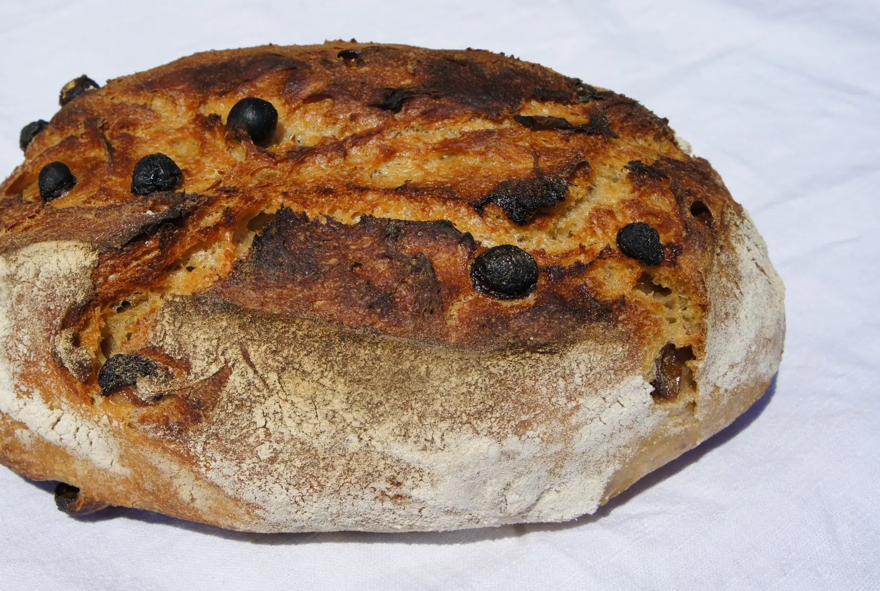 froment bis abricot/noisette/amande/raisin