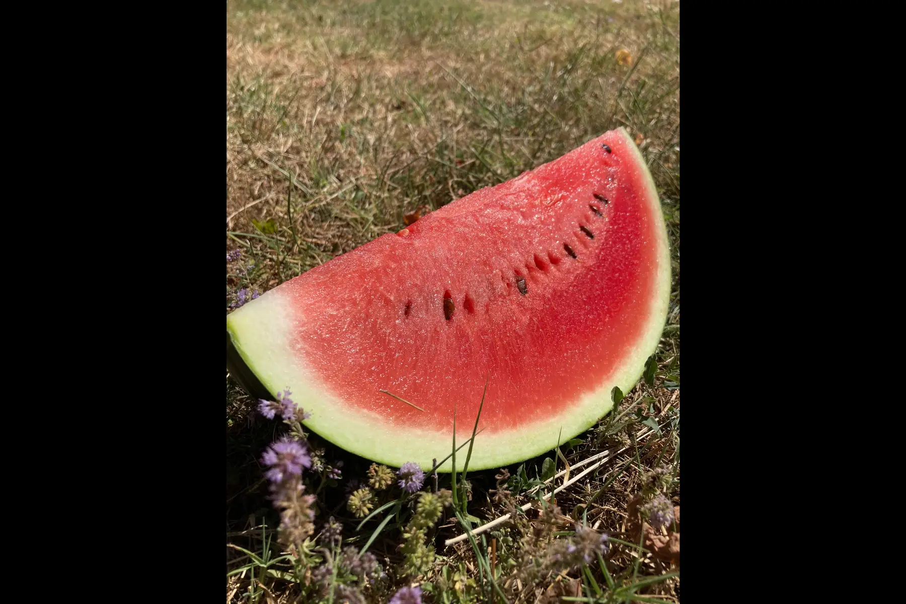 pastèque
