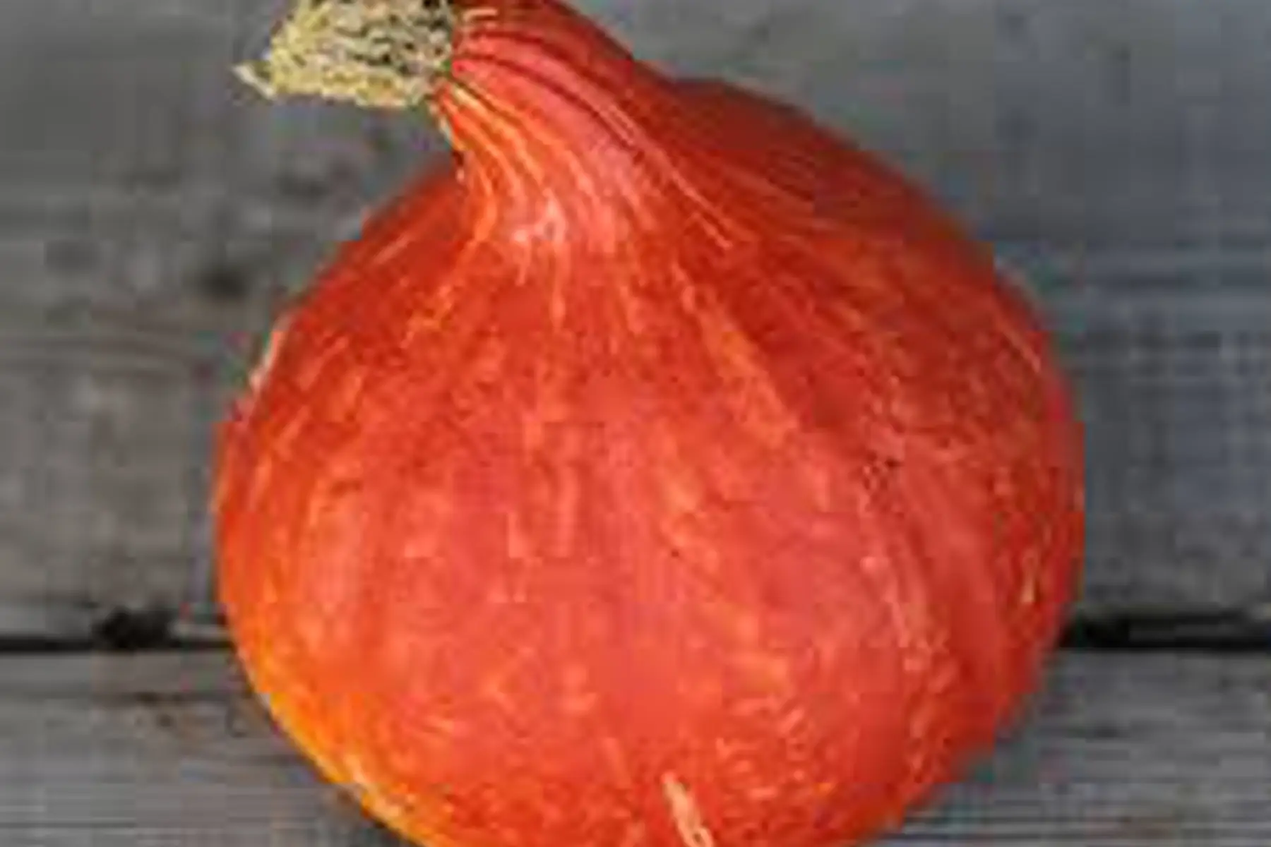 potimarron