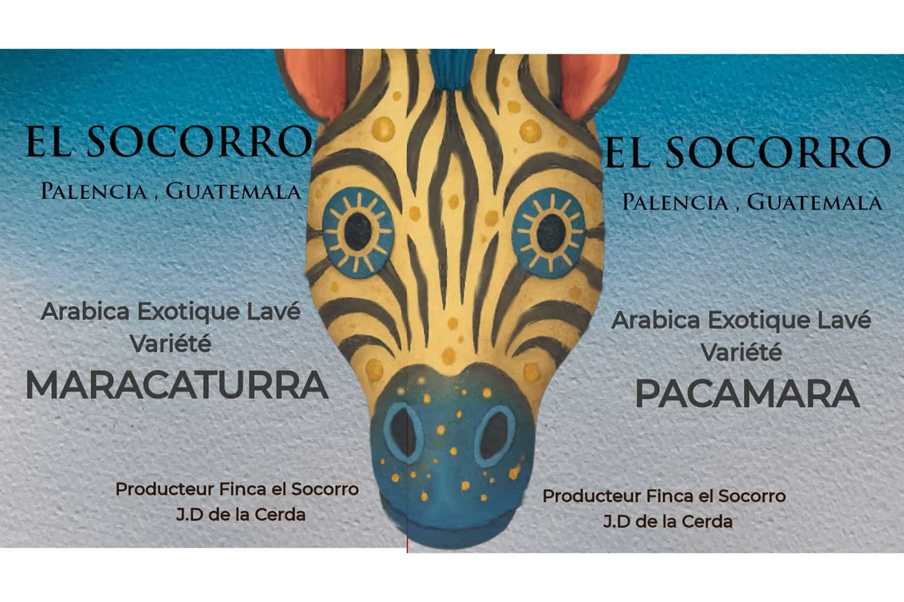 Lot Café variete spéciales - El Socorro 2x250gr