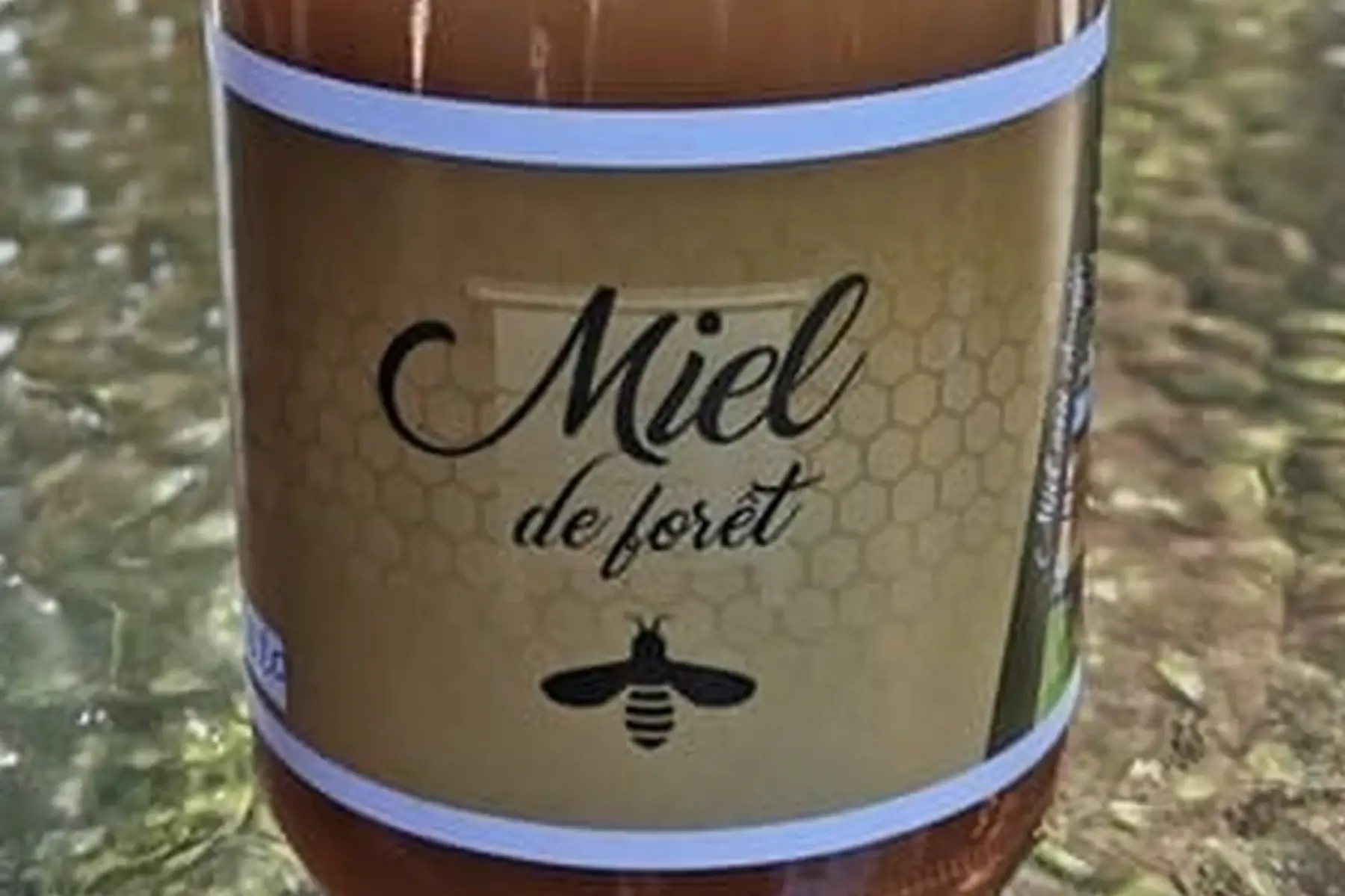 miel de forêt