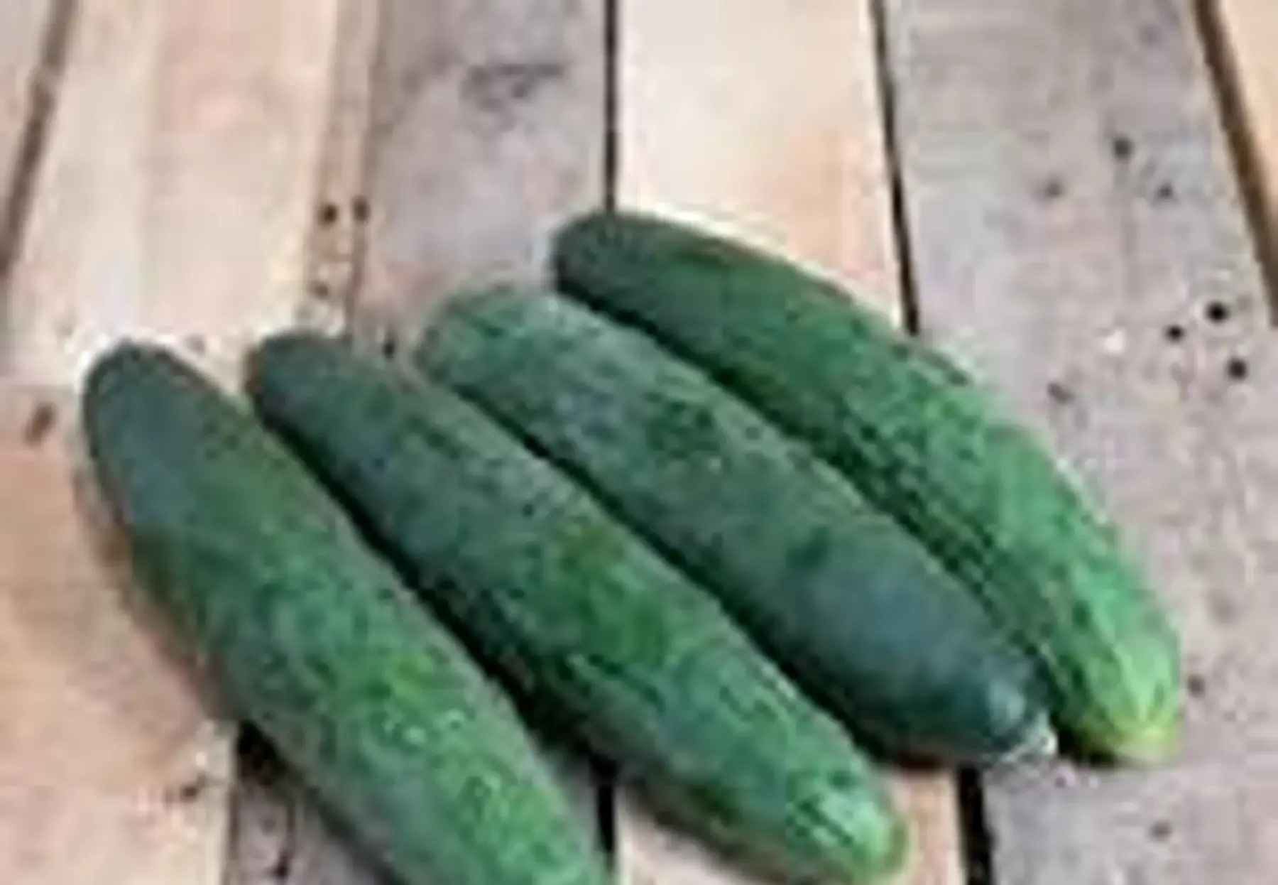 concombre de france lisse gros 2e50/piece