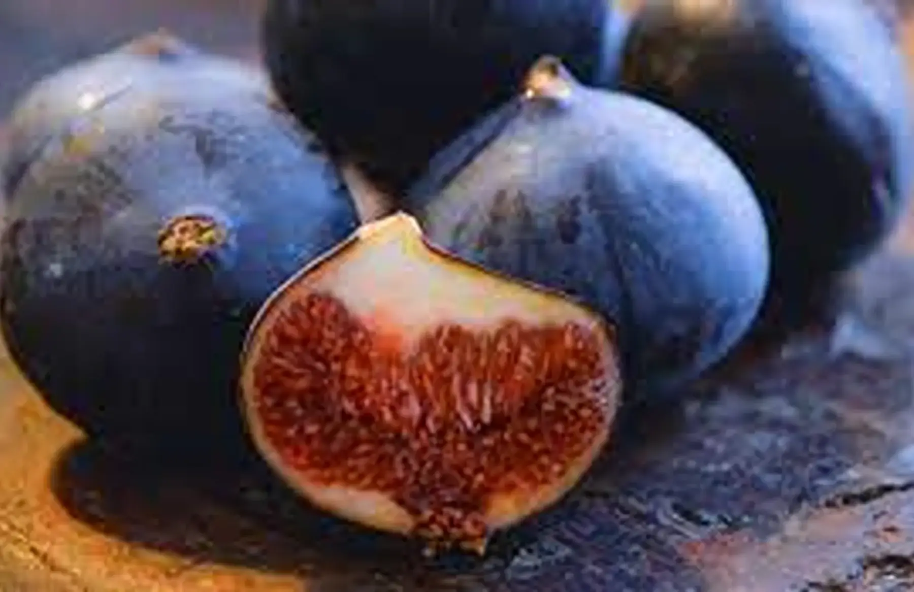 1er fuigue bourjassotte du 66