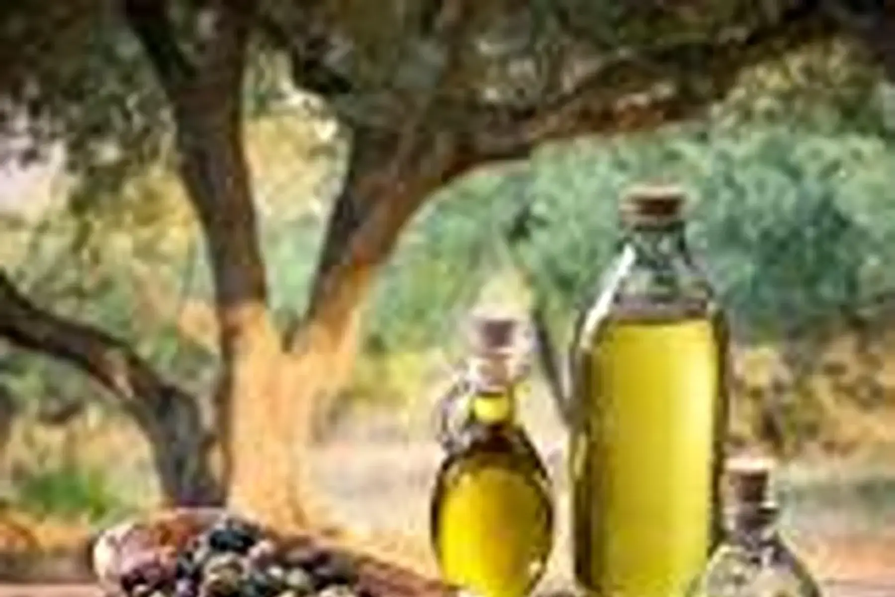 huile biodynamie d'olive 75 cl de séville andalousie)bio-dynamie