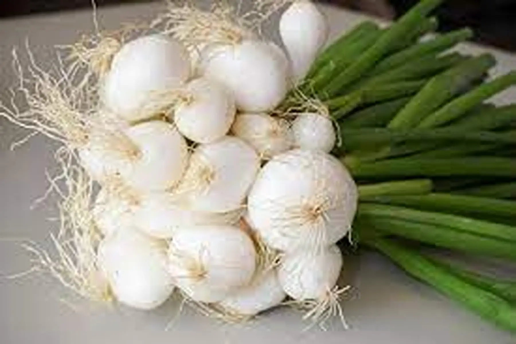 oignons blanc nouveaux en botte 3e50/piéce