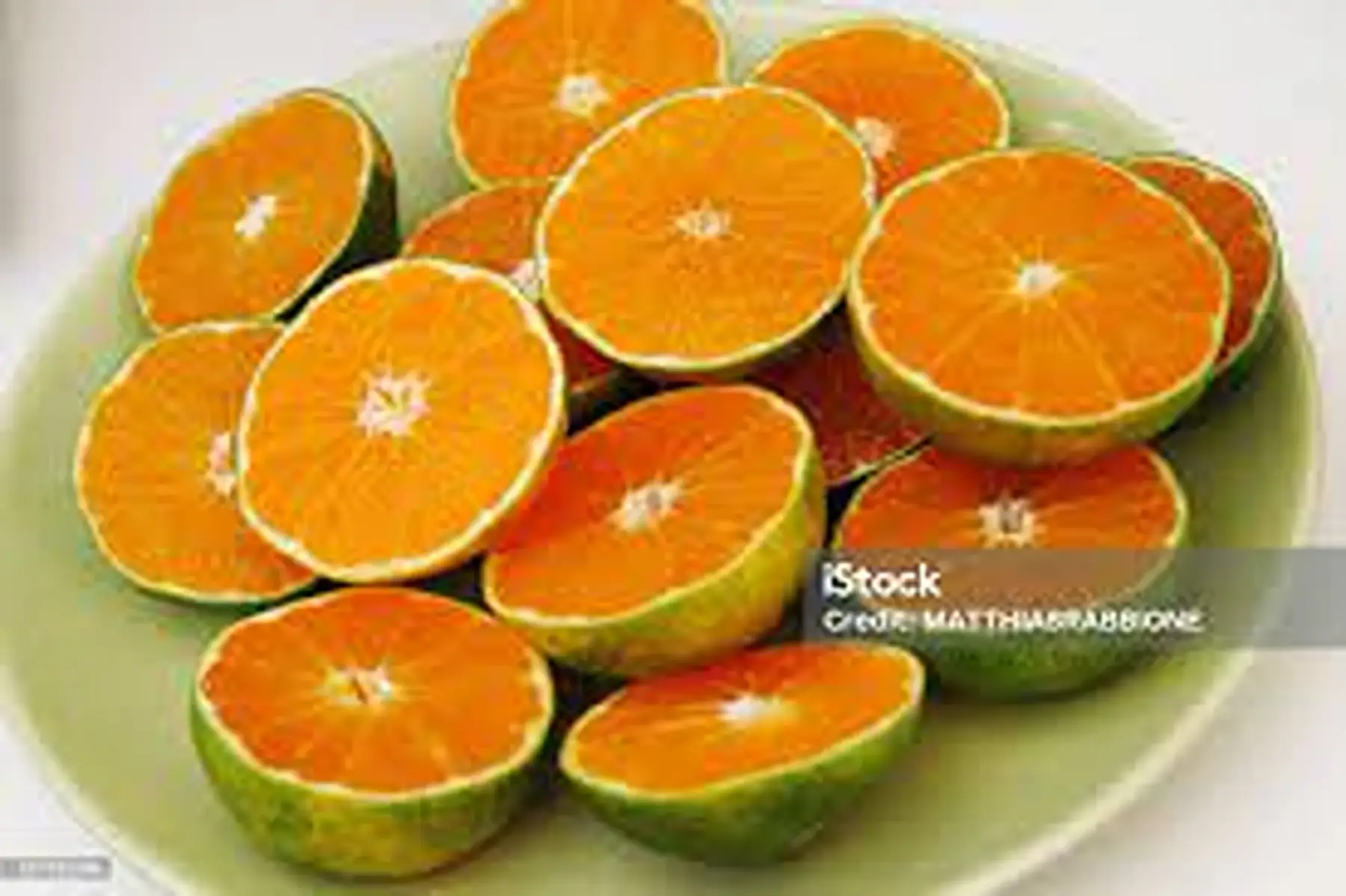 mandarinne sicilienne satsuma miyagawa