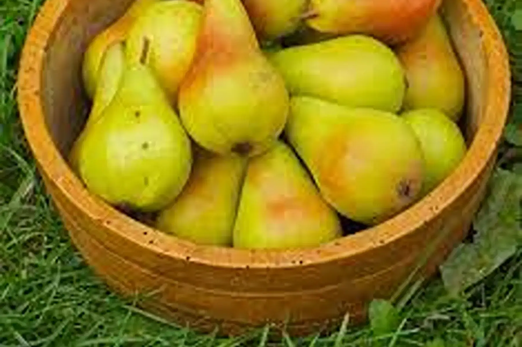 william's du LOIRET EXTRA !!