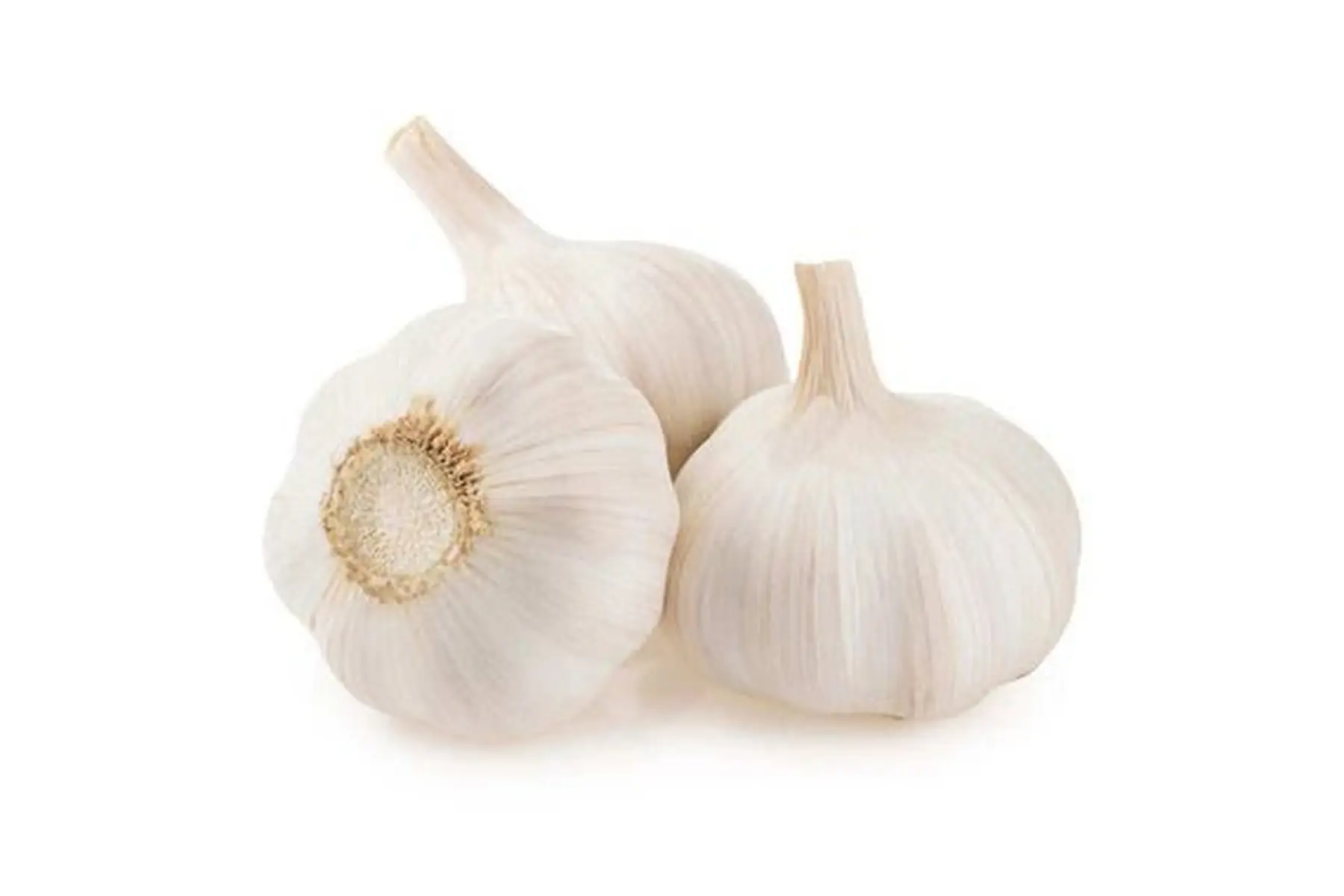 ail violette de cordoba (sud espagne) grosse