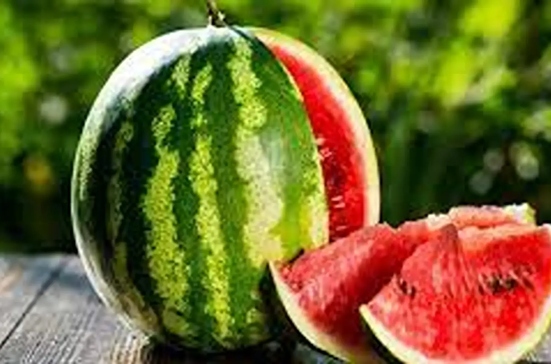 pastéque noire sans pépins 3e20/kg du gard