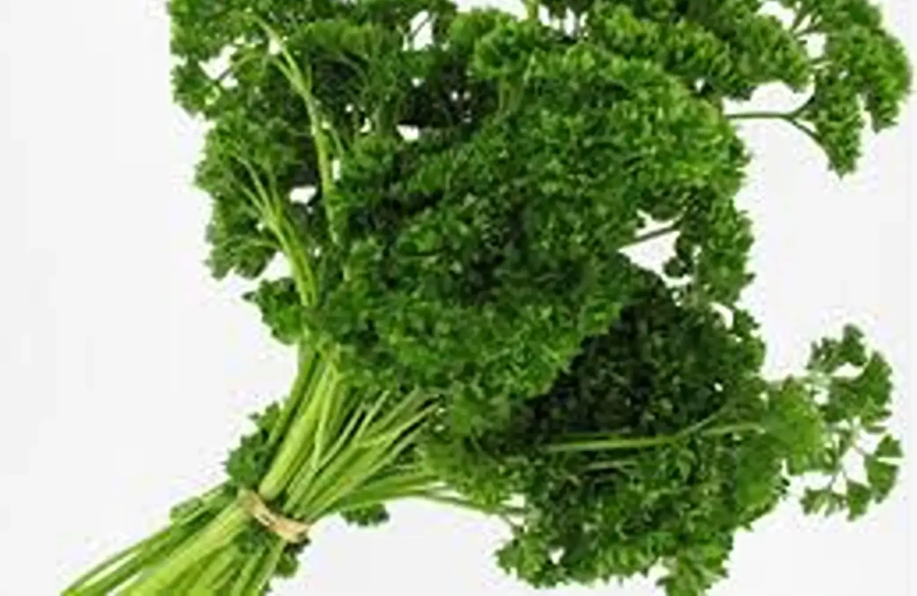 botte de persil plat france