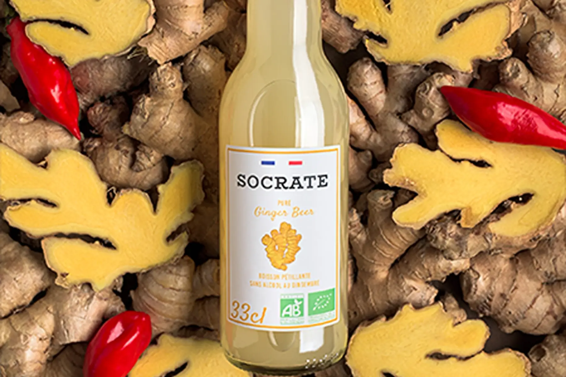 Ginger-beer extra biologique de bourgogne en 75 cl 5e50/pièce