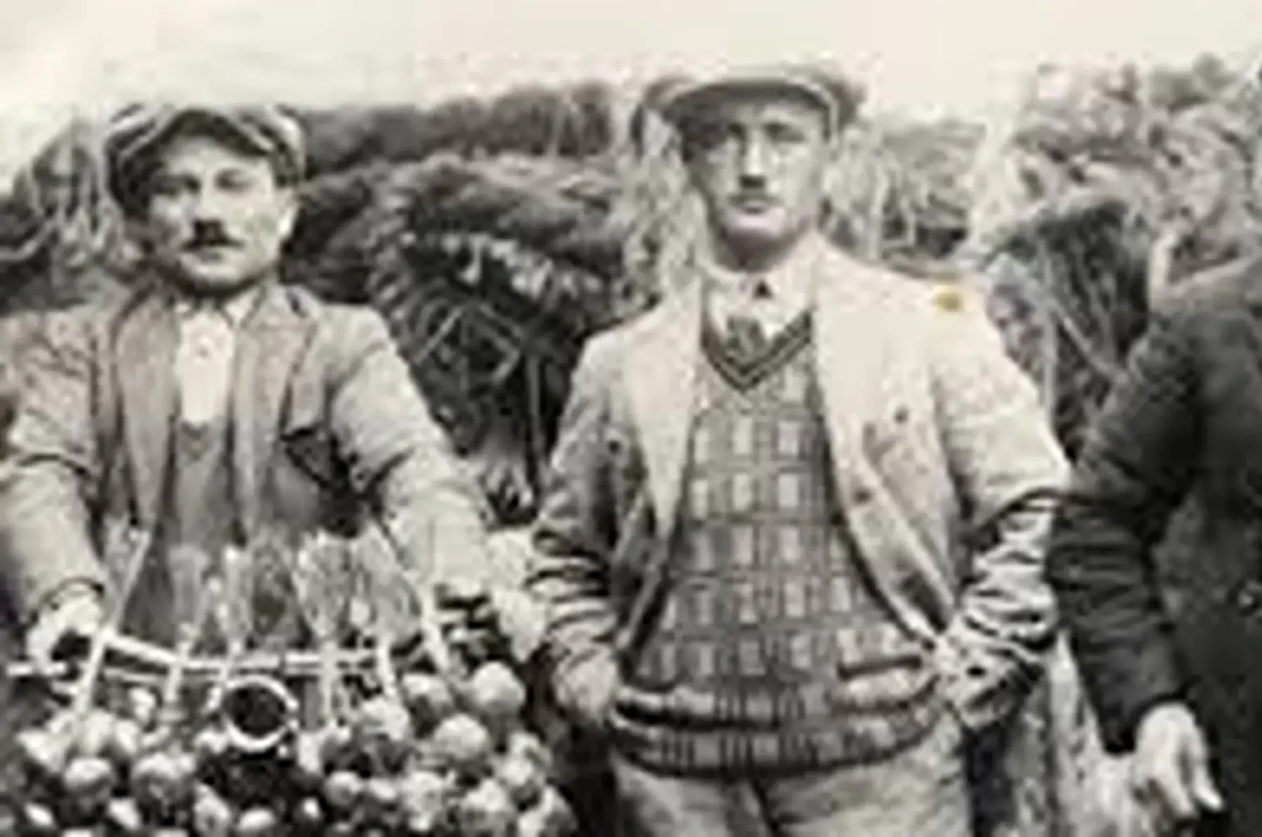 oignons rosé de roscof du léon 29 (nord-finistere)