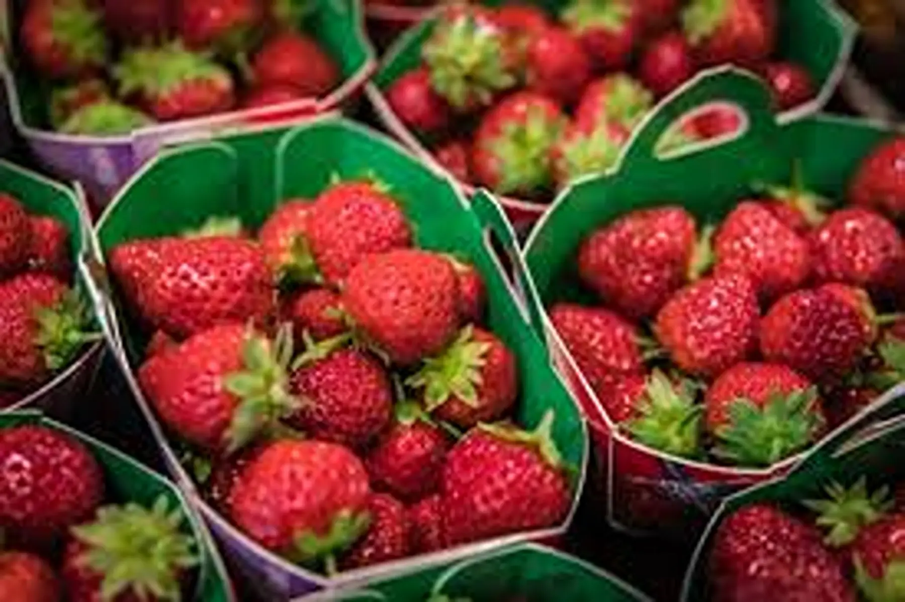 fraise ronde "clery" du sud (5e /250 grs)