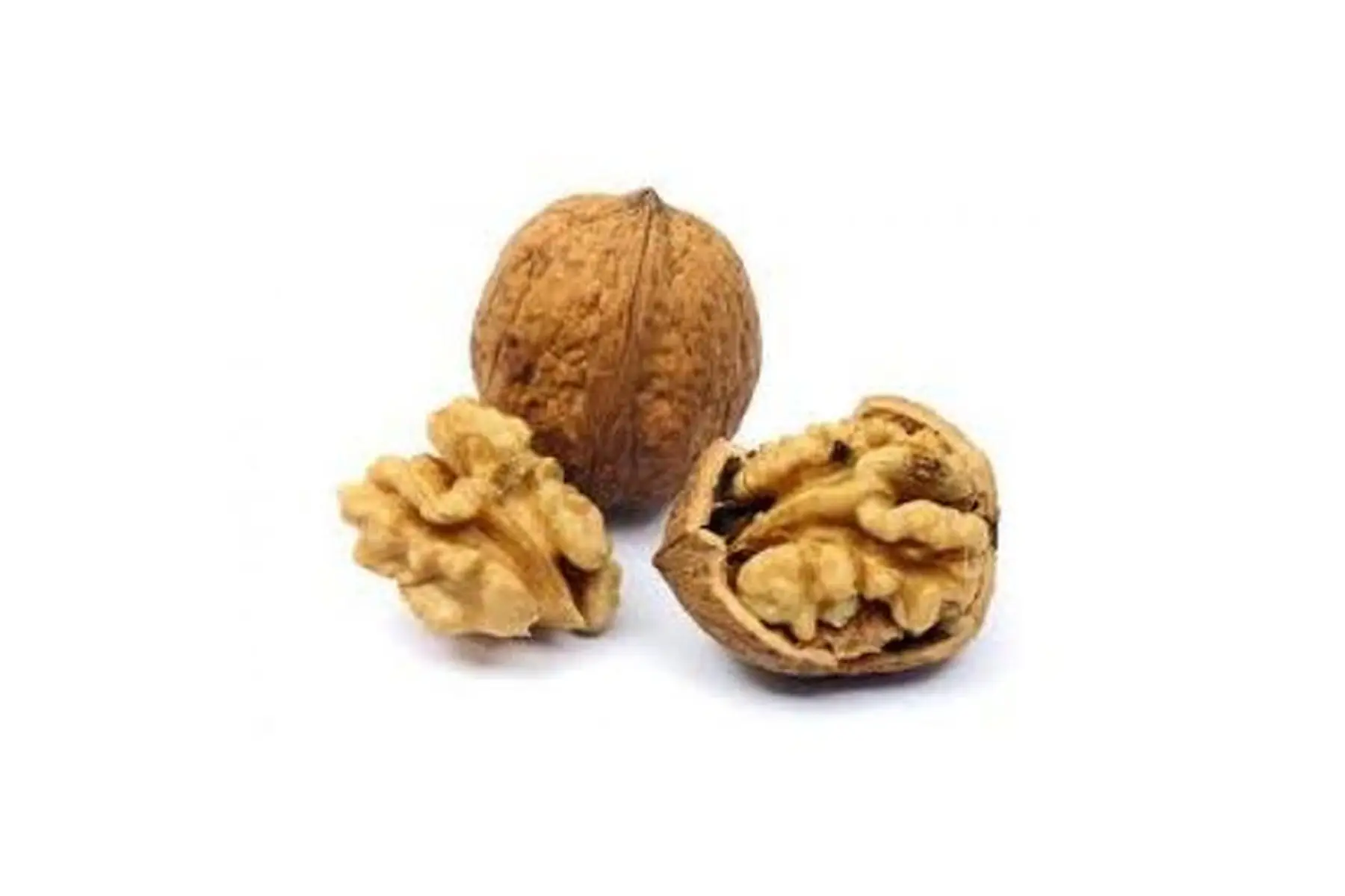 nouvelle !! récolte noix 'franquette' de dordogne