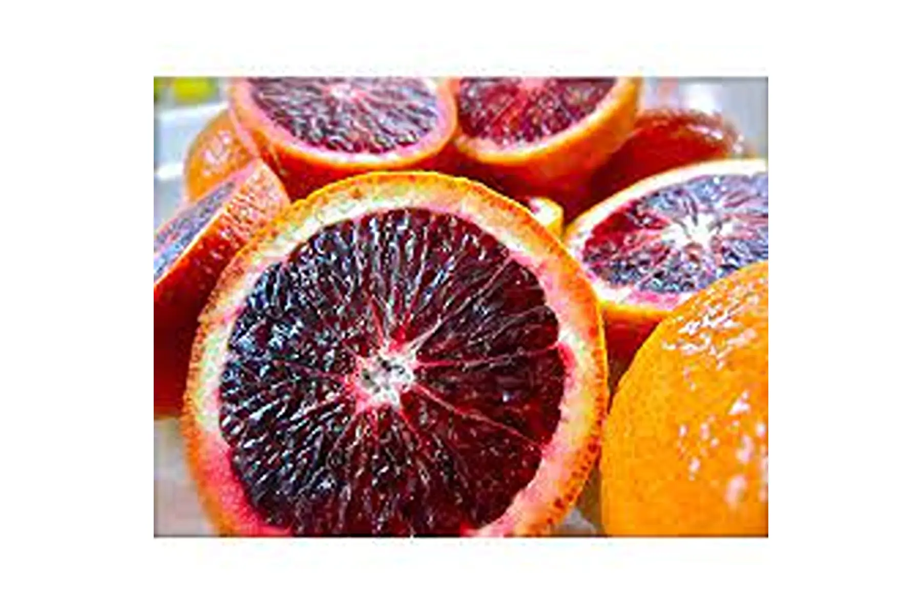 orange tarracco demi sanguine de sîcile !!(fin)