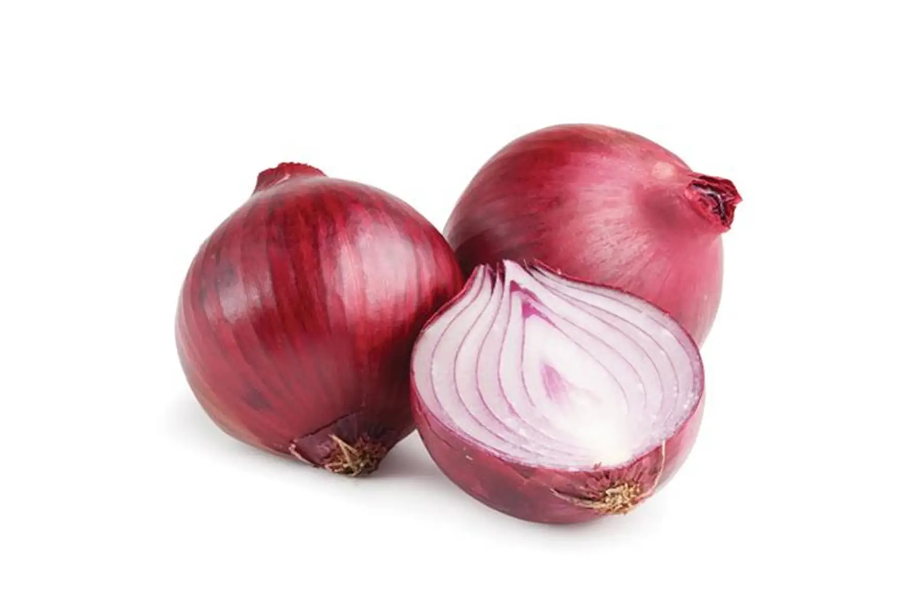 oignon nouveau france