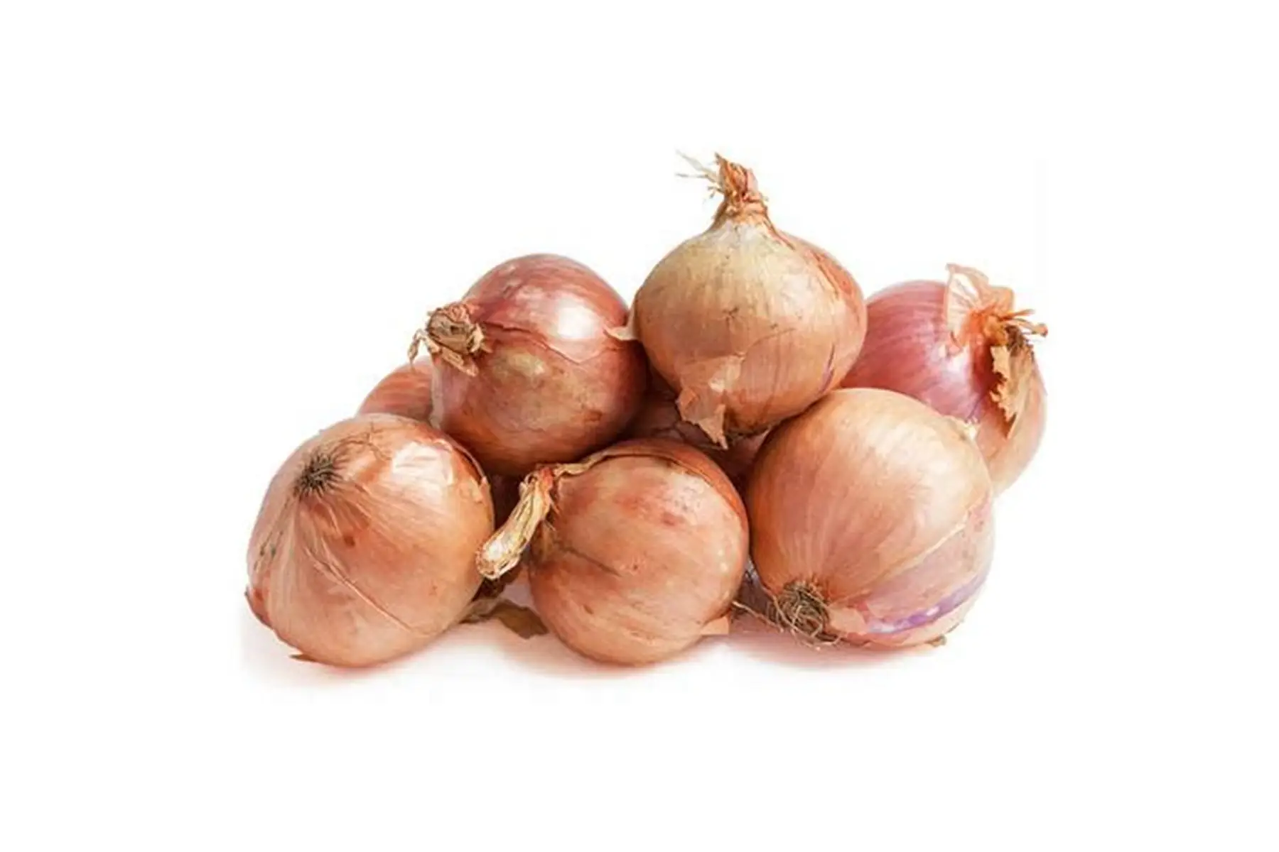 oignon jaune de Bretagne