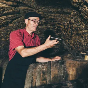 DOMAINES DES BEGUINERIES