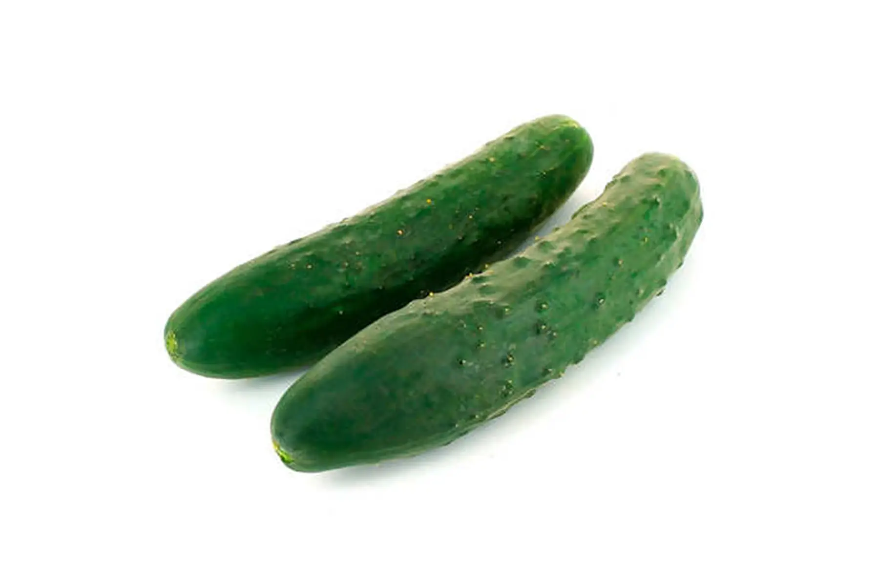 concombre noa