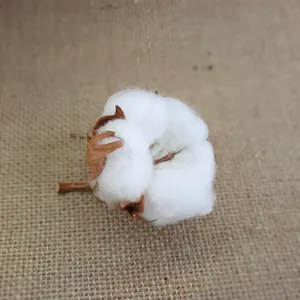 Naturellement Couture