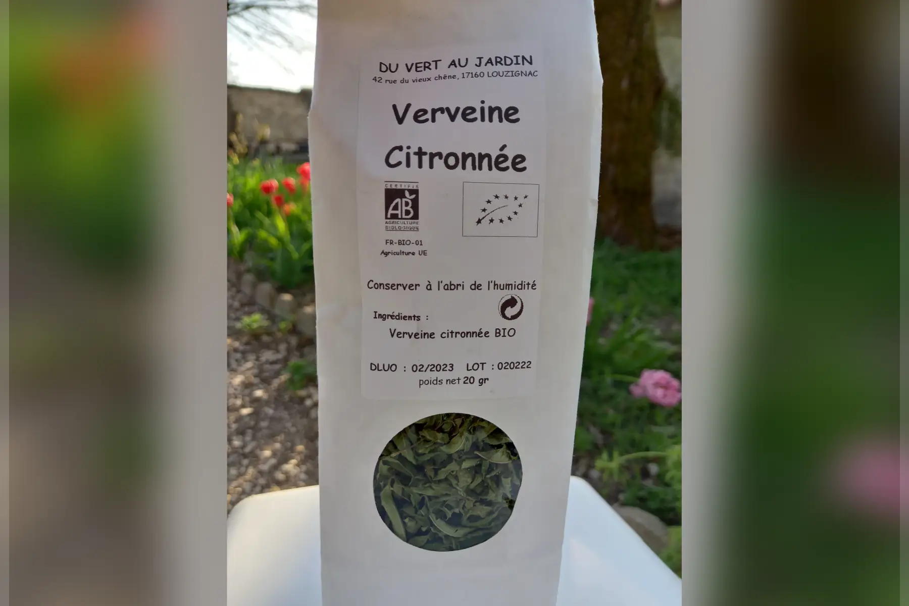 Du vert au jardin