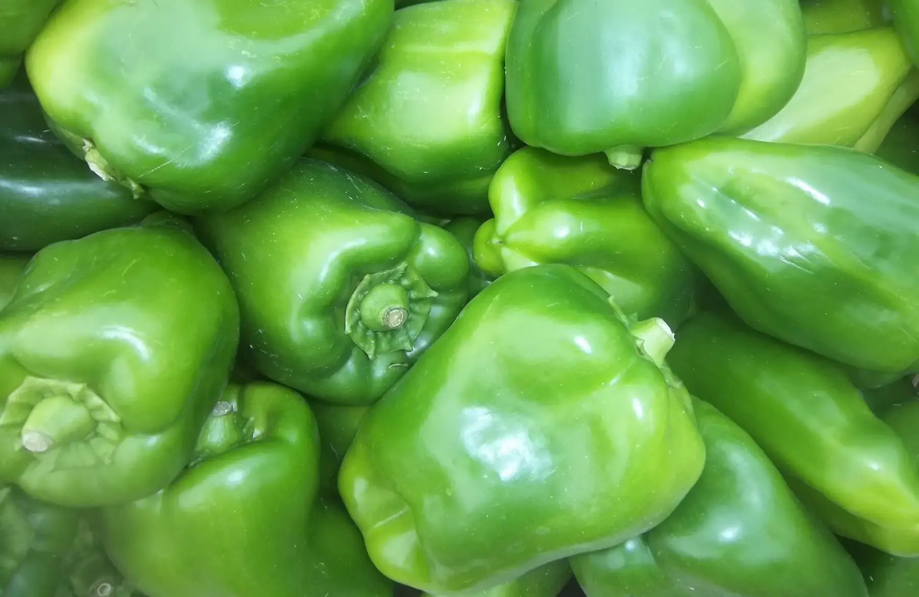 poivrons verts 500g
