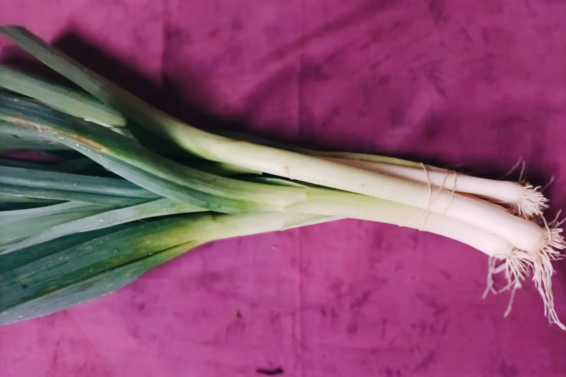 botte petits poireaux