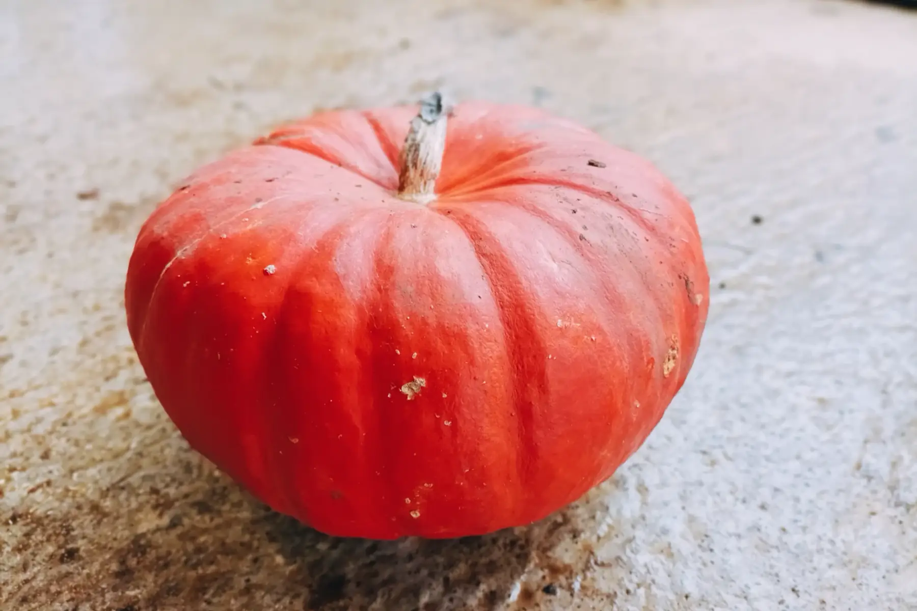 courge rouge vif d'étampes