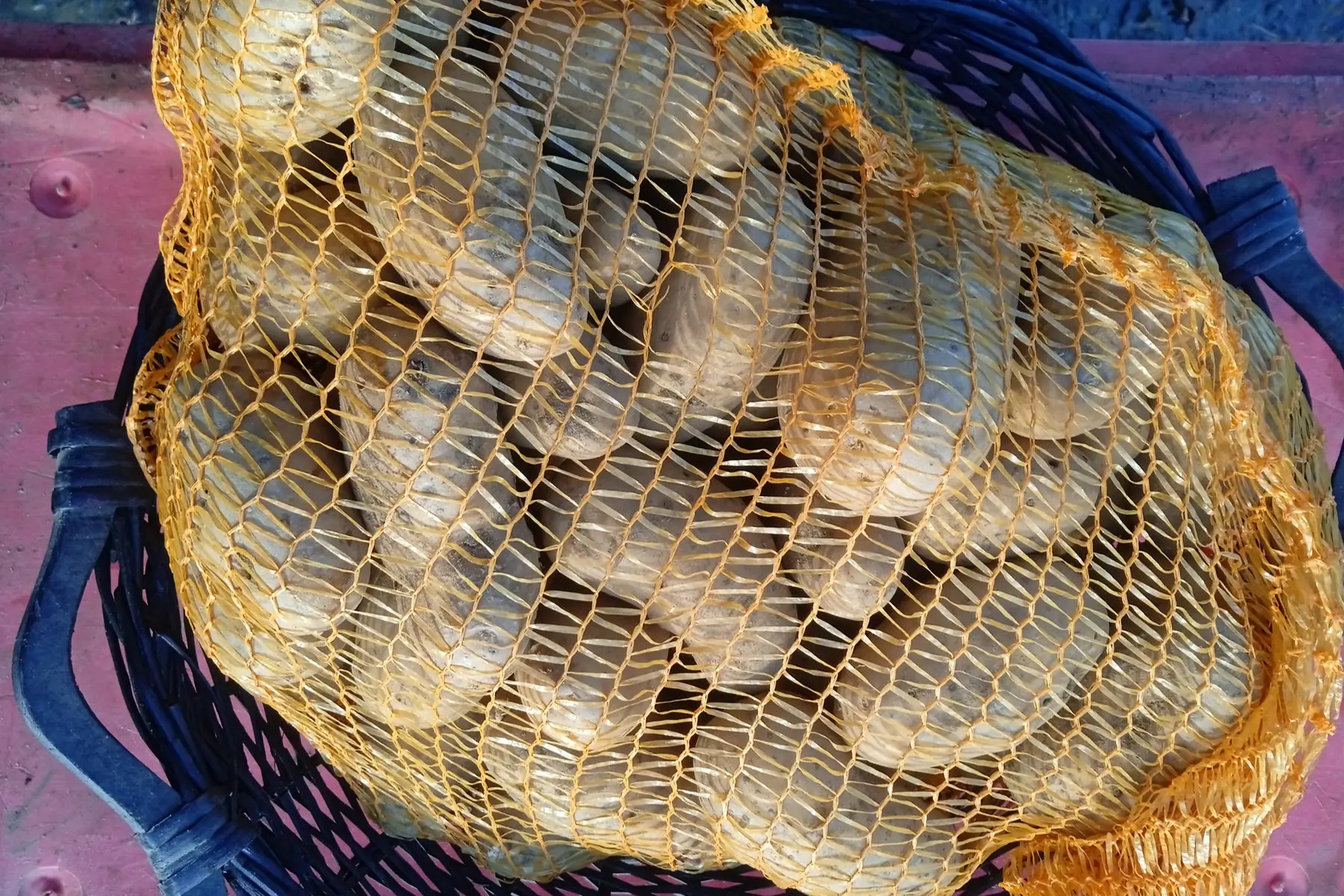 filet de pomme de terre chair ferme