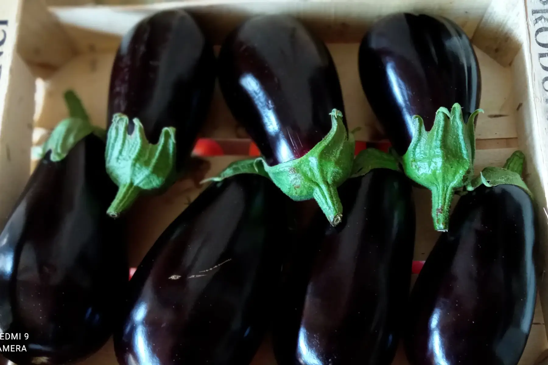 aubergines lot 3kg