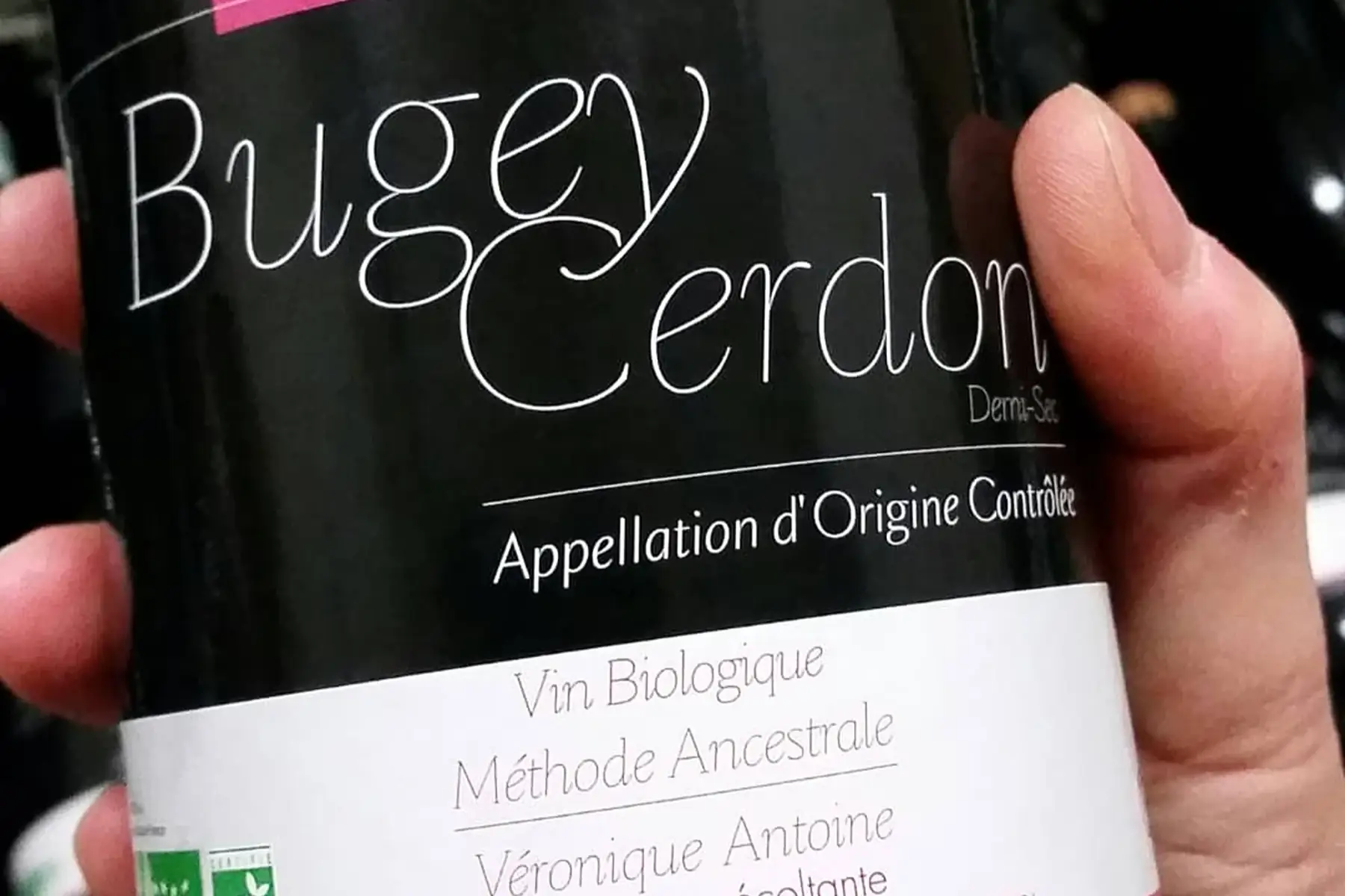 vin du bugey cerdon 2025