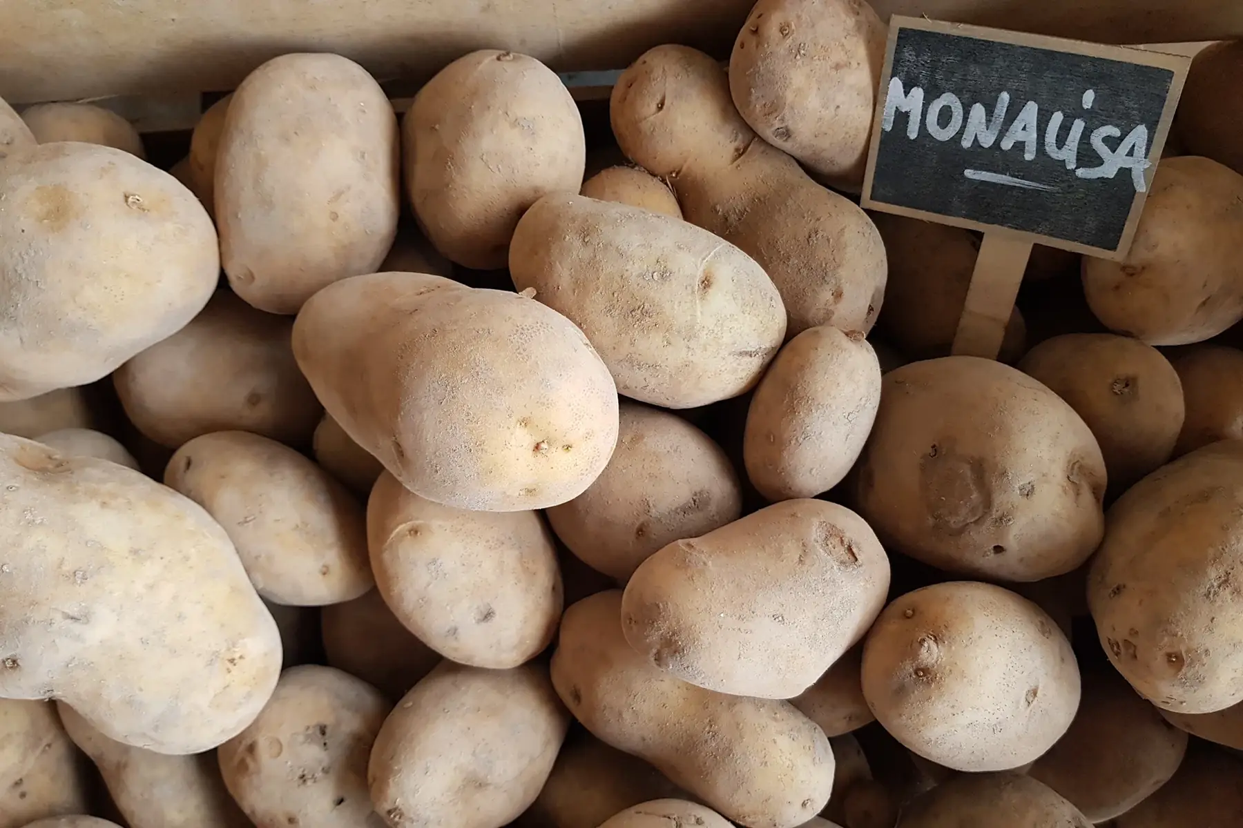 pommes de terre monalisa bio