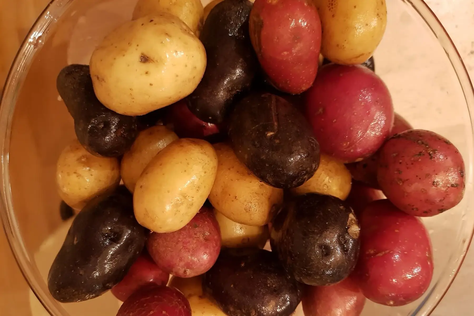 pommes de terre grenailles tricolores bio