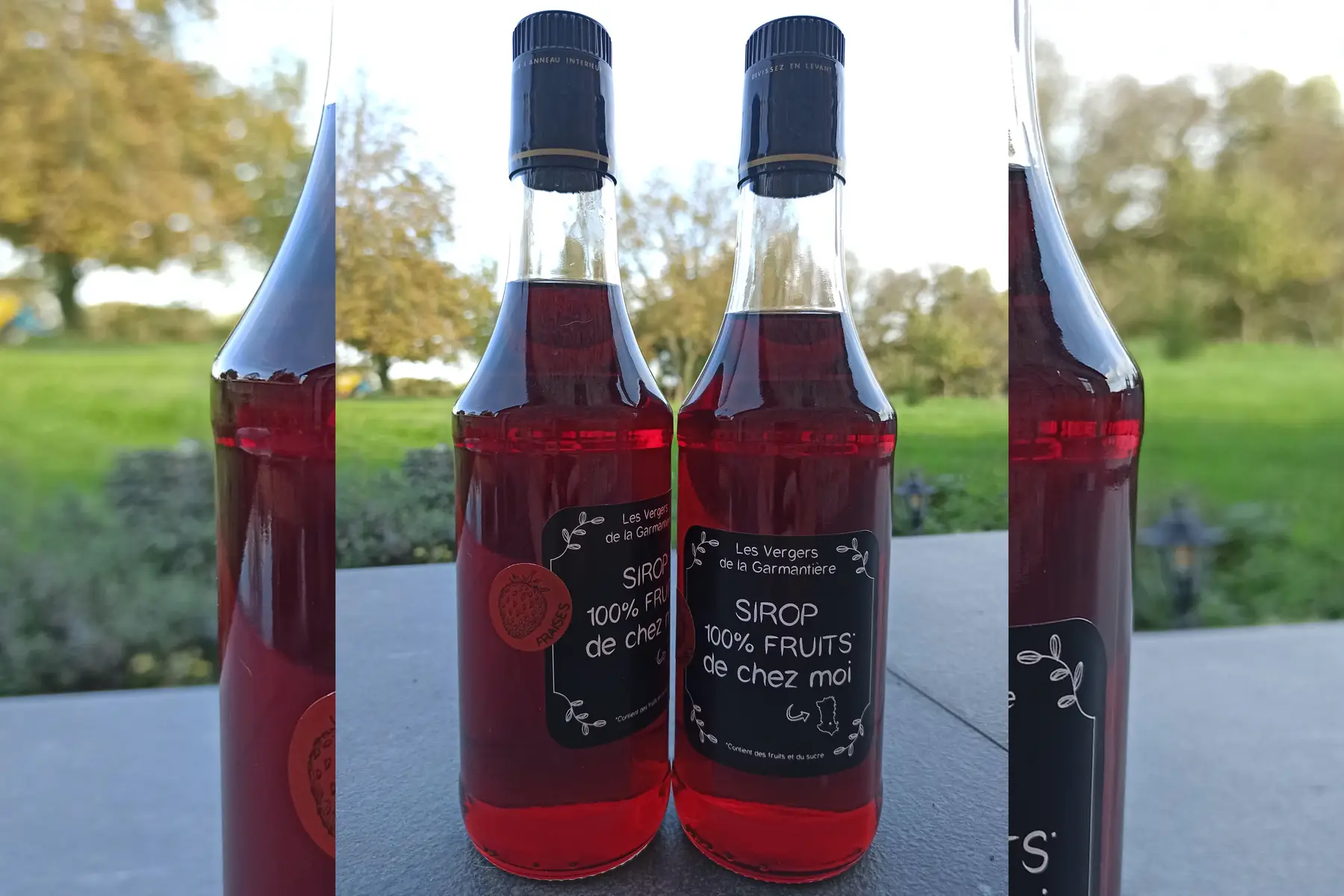 Les vergers de la Garmantière (E.I. Margaux SABOURIN)