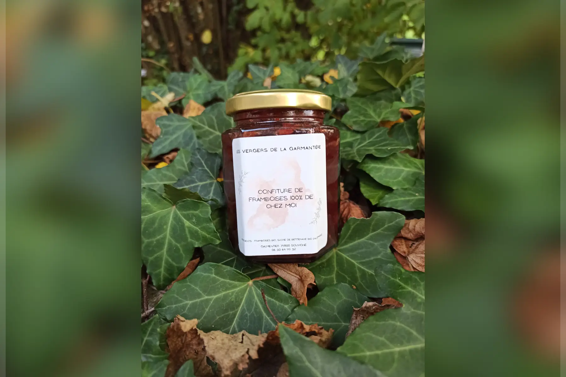 Confiture de framboises