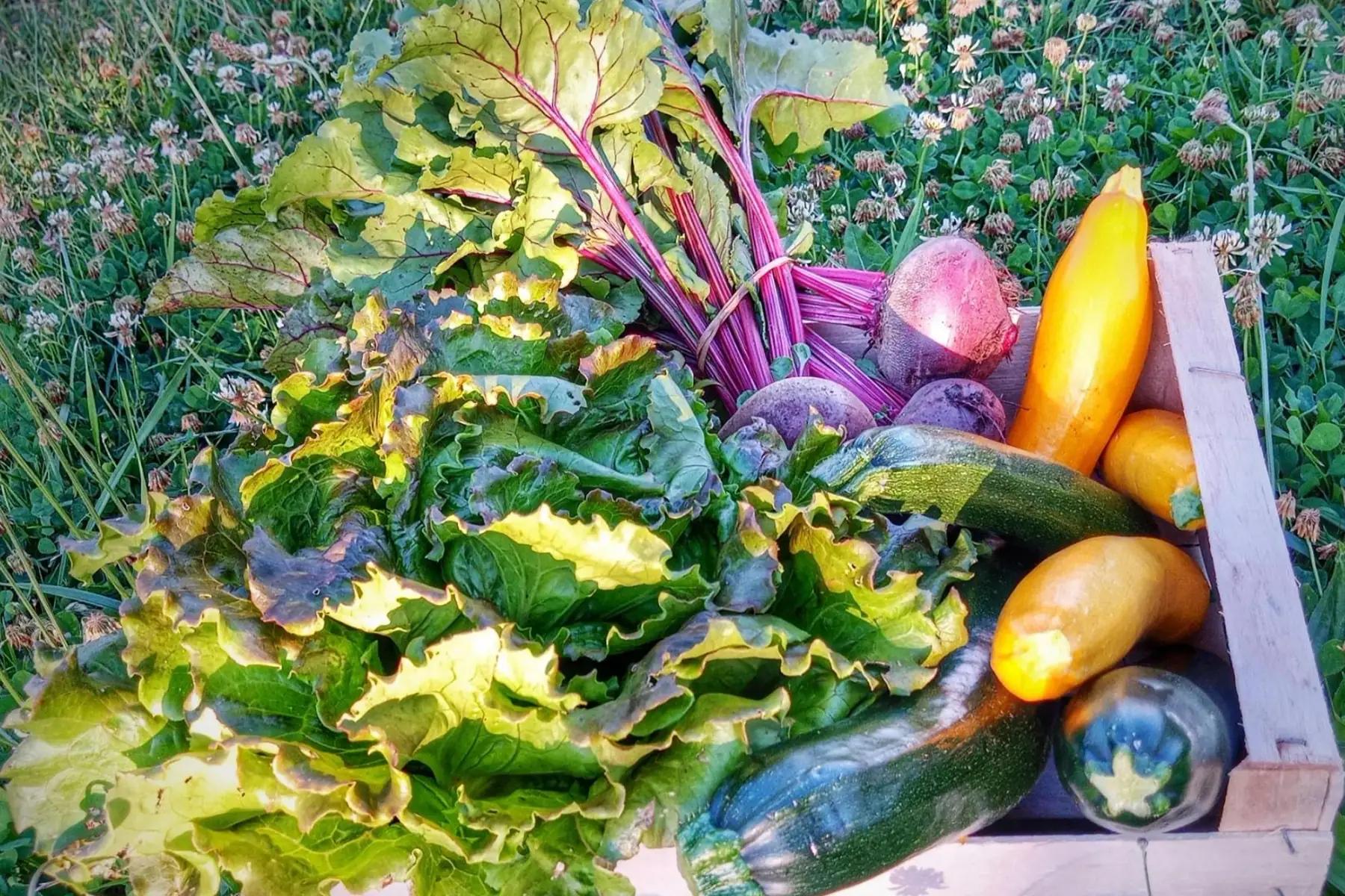 ferme de la Guinguette