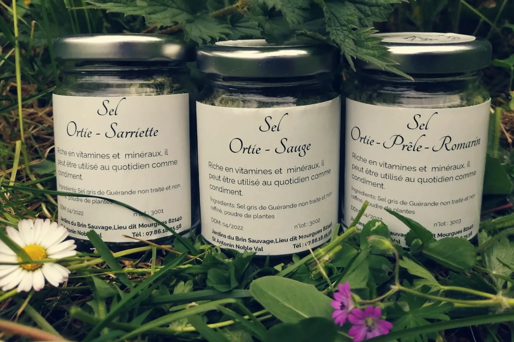 sel ortie prêle romarin