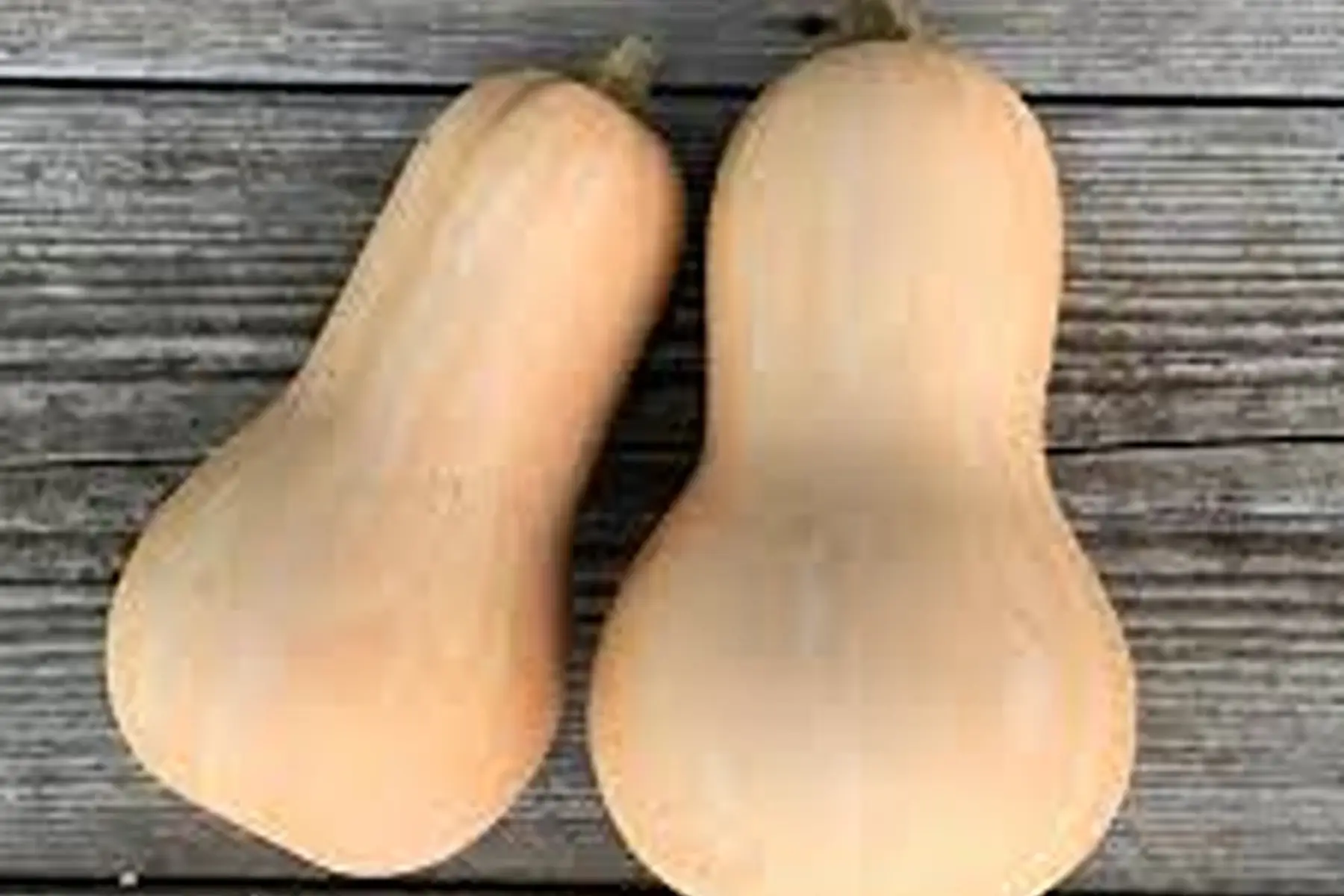 courge butternut