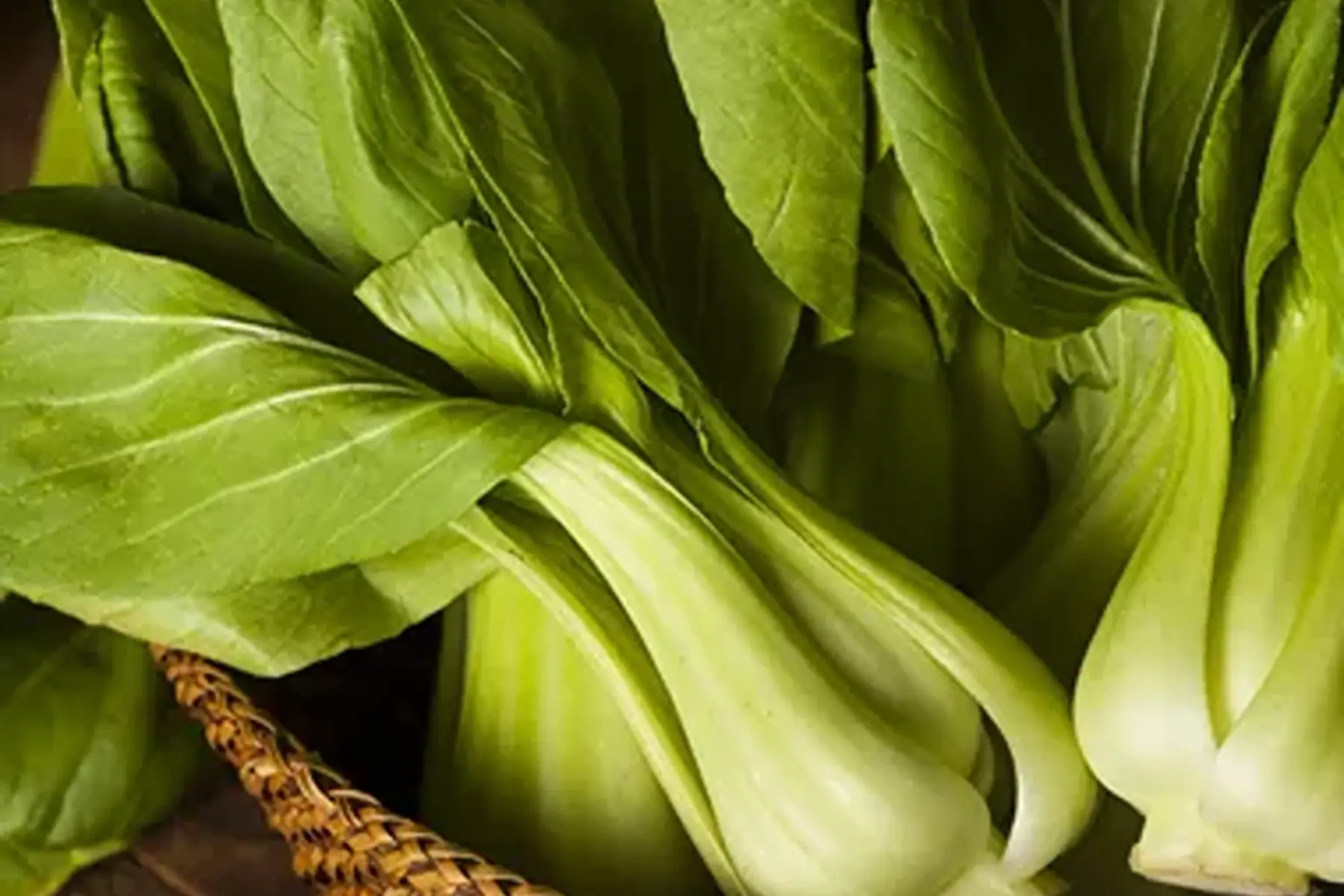 chou pak choi