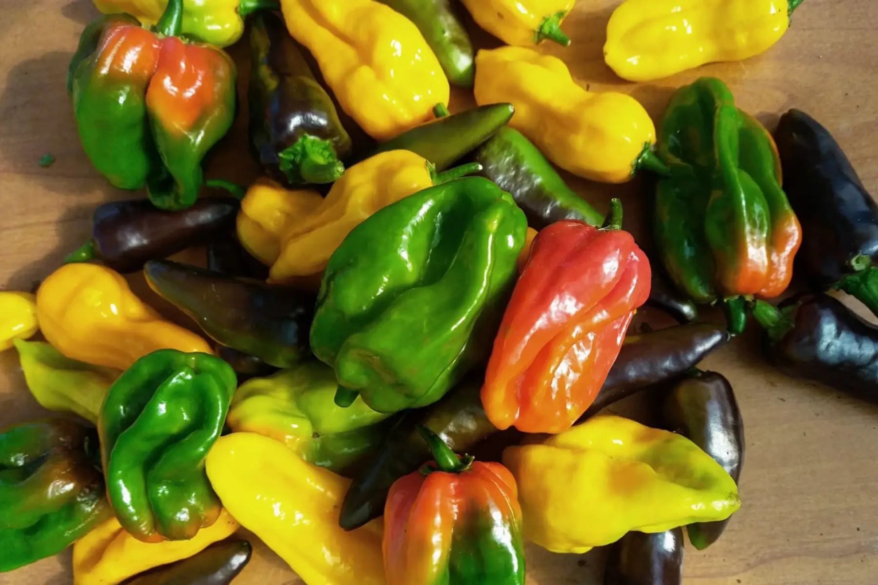 piments forts mélangés