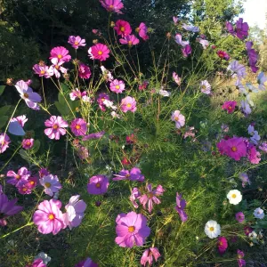 La ferme des Claouzettes