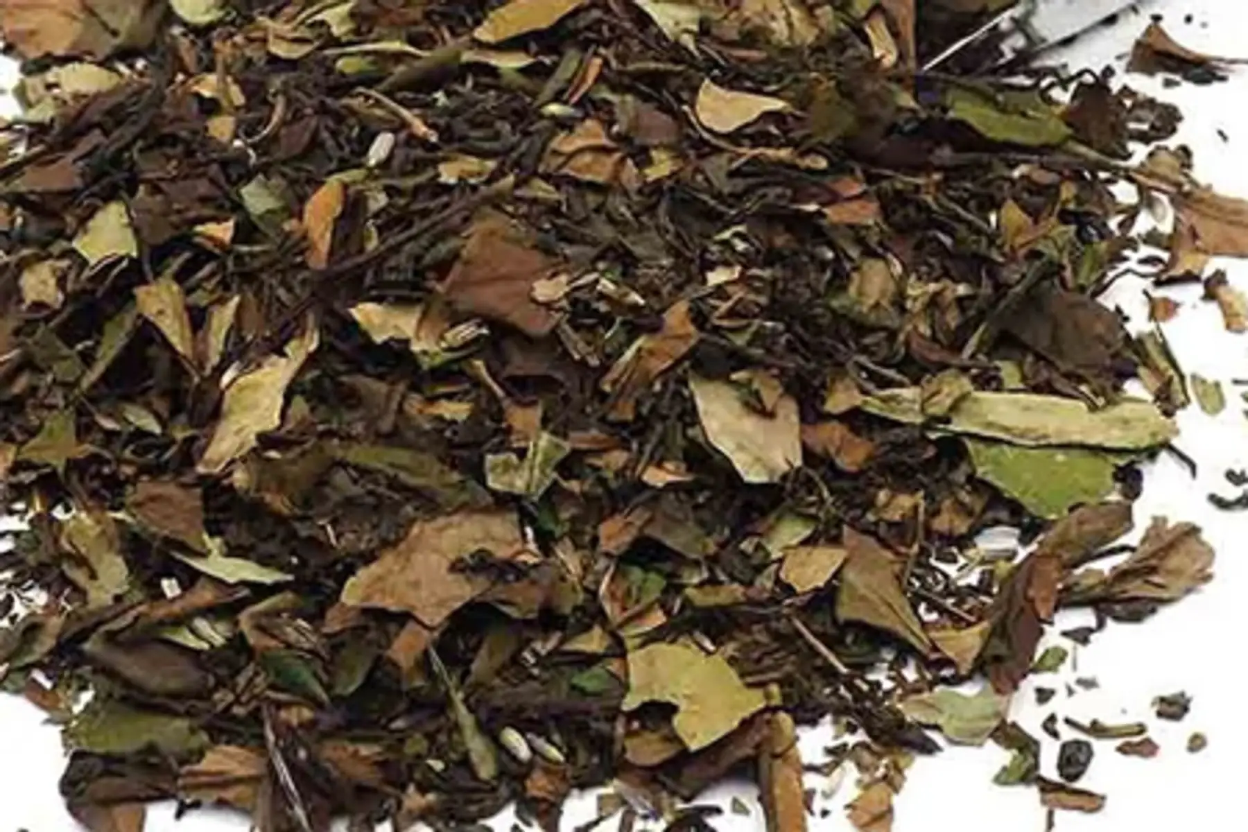 thé vert ; après la pluie ff - bio